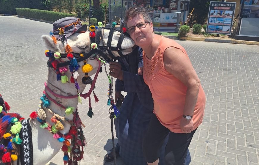 Discover Hurghada: Guided City Tour & Optional Shopping(Private or Shared)