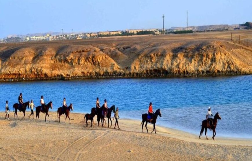 Desert and Beach Horse Riding Adventure