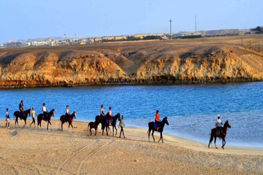 Desert and Beach Horse Riding Adventure