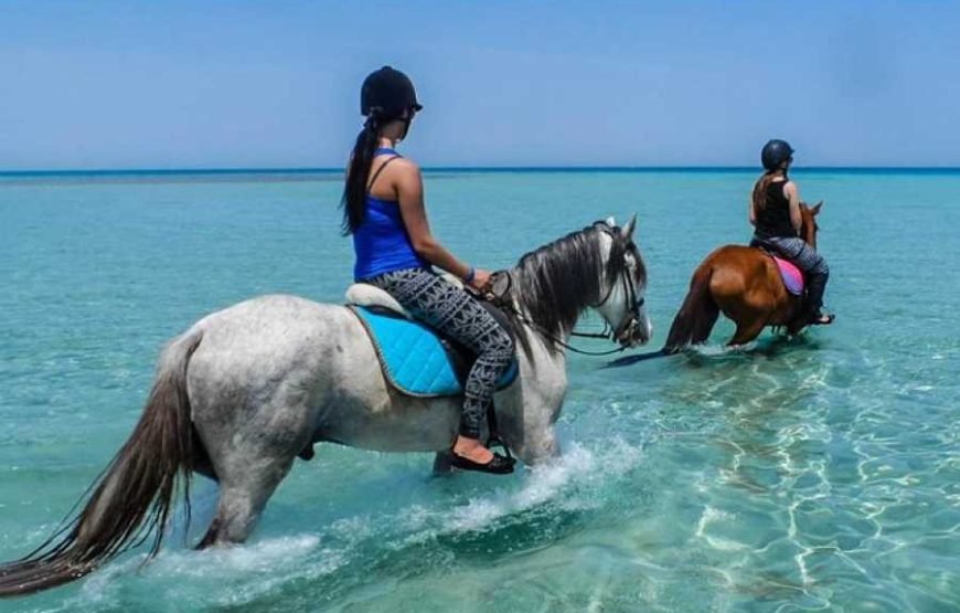 Desert and Beach Horse Riding Adventure