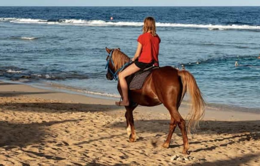 Desert and Beach Horse Riding Adventure