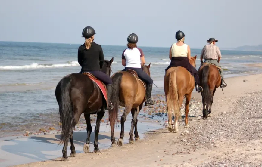 Desert and Beach Horse Riding Adventure
