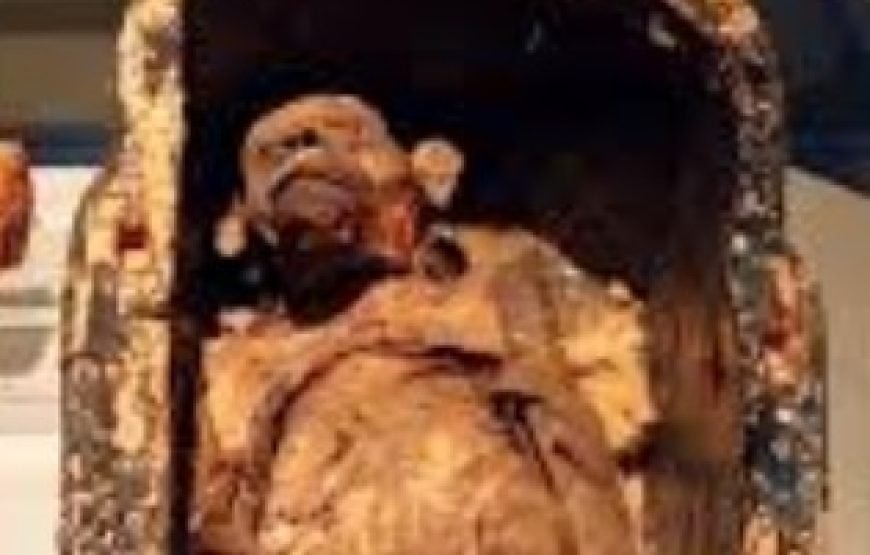 Hurghada to Luxor Rediscovered Day Tour (Private & Small Group) 🏺👑